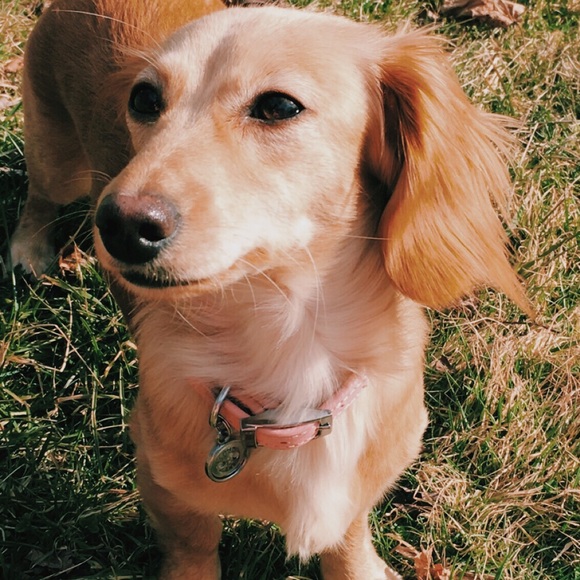 Nothing - Picture 1 of 1